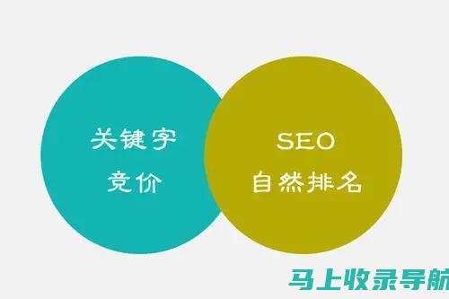 百度SEO排名优化全攻略：专业建议与实用技巧一网打尽